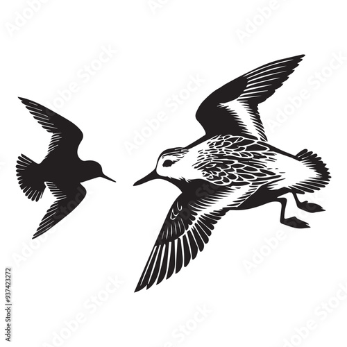 Sanderling Silhouette - Sanderling Bird Clipart,  Calidris alba Design, Sanderling chasing Illustration in black and white
