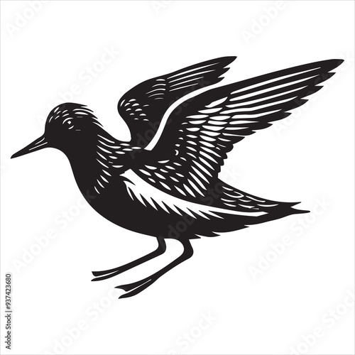 Sanderling Silhouette - Sanderling Bird Clipart,  Calidris alba Design, sanderling in defensive stance Illustration in black and white