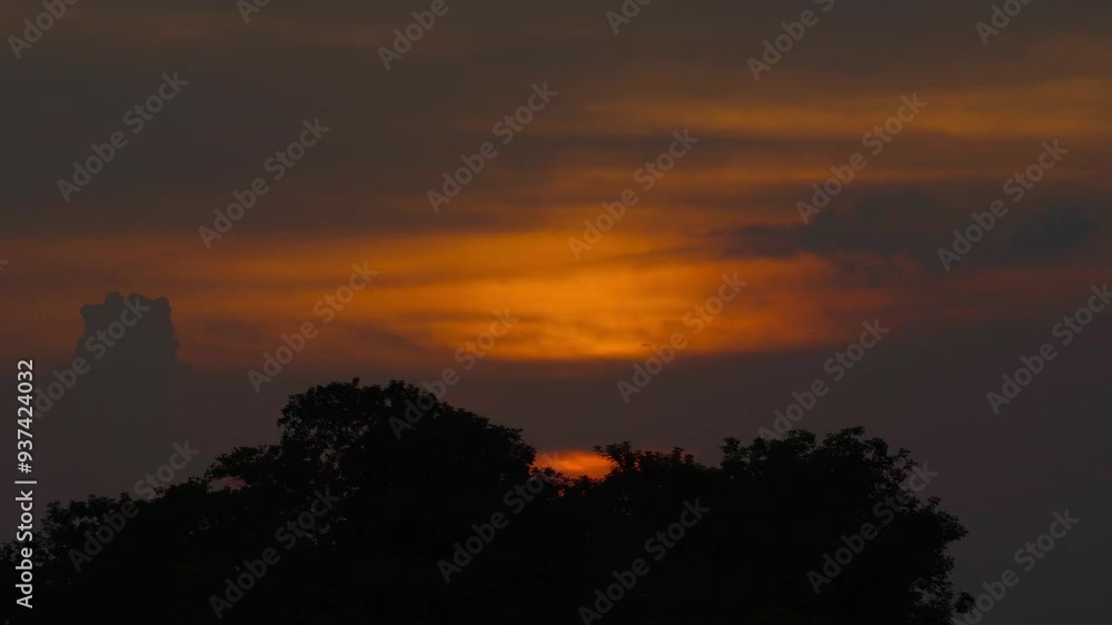 Time Lapse, Sunset with trees in the foreground Time Lapse, Sunset with trees in the foreground