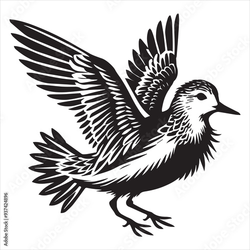 Sanderling Silhouette - Sanderling Bird Clipart,  Calidris alba Design, Sanderling spreading tail feathers Illustration in black and white