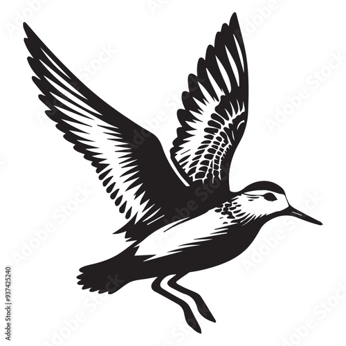 Sanderling Silhouette - Sanderling Bird Clipart,  Calidris alba Design, Sanderling taking off Illustration in black and white
