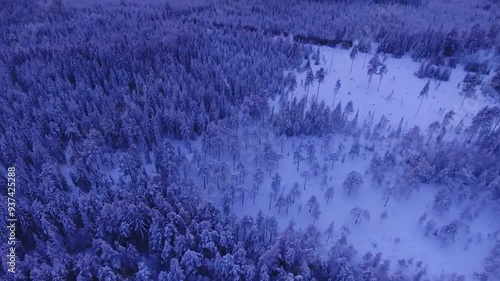Aerial drone footage shows snowy winter forest and trees covered with thick snow. Camera moves further and reveals sunset sky what has beautiful red, purple, yellow and orange sky with some clouds 4K.
