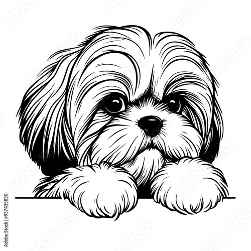 Shih Tzu  Designs, Shih Tzu Dog Clipart, Cute Puppy SVG PNG, Cricut Files for Pets, Dog Lover Vector, Shih Tzu Silhouette