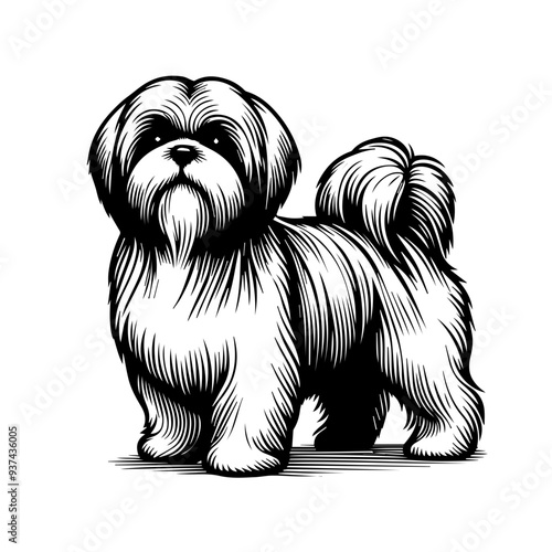 Shih Tzu  Designs, Shih Tzu Dog Clipart, Cute Puppy SVG PNG, Cricut Files for Pets, Dog Lover Vector, Shih Tzu Silhouette