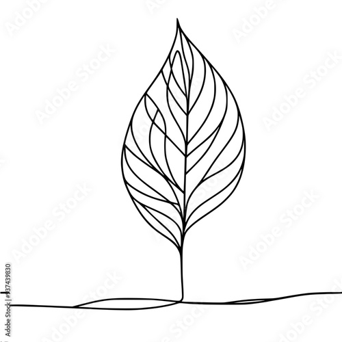 simple linear vector drawing of a leaf from a tree on a white background black lines