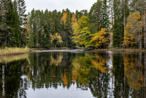 Scenic view of a salomon river landscape in autumn