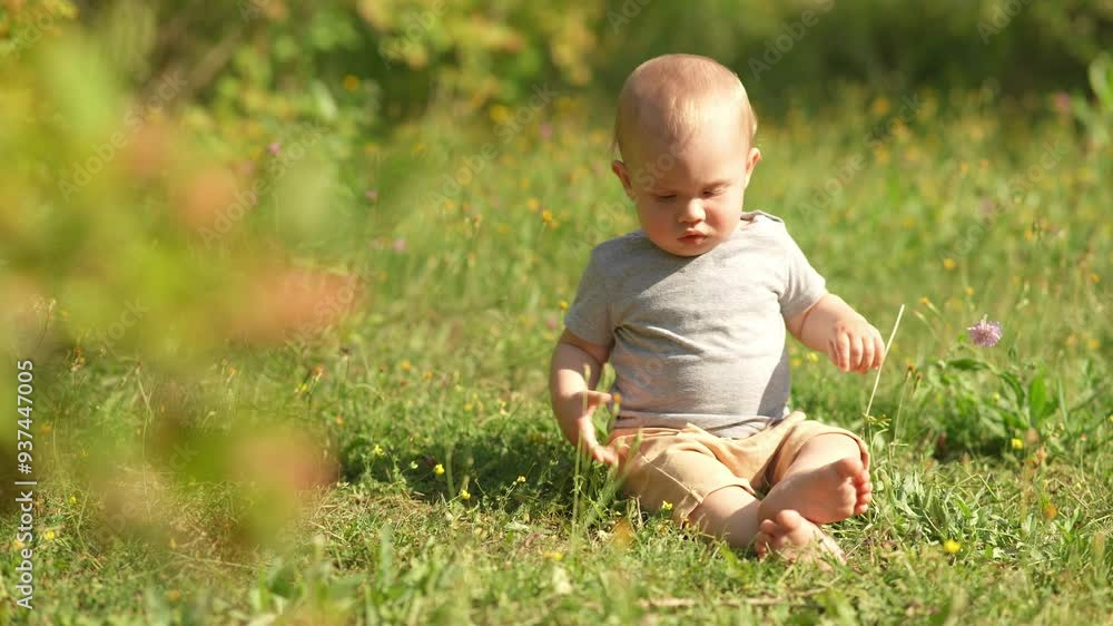 A young child seats in a field, surrounded by wildflowers and the warm glow of the setting sun. A young child seats in a field, surrounded by wildflowers and the warm glow of the setting sun.