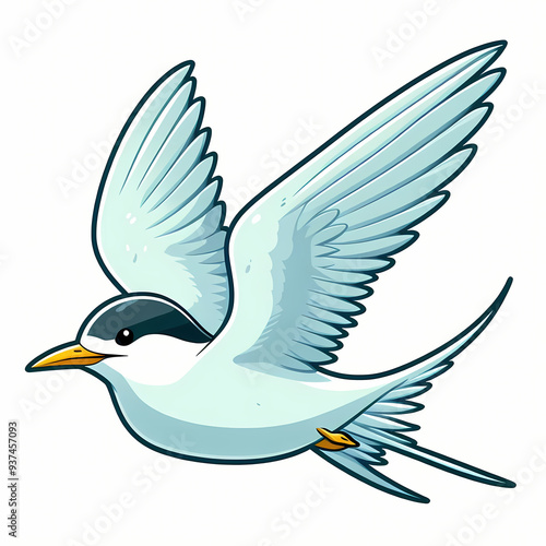 vector illustration of a Tern bird against white background