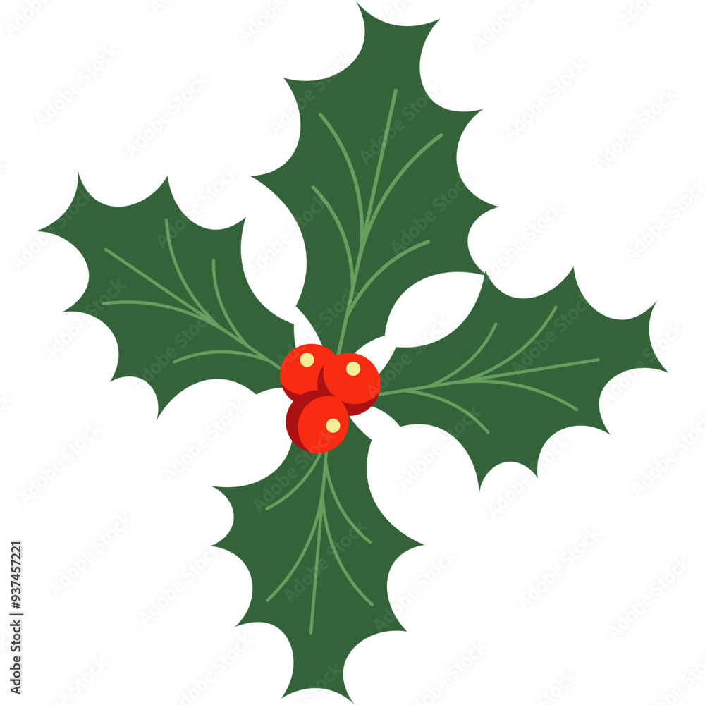 Christmas Holly Berries Illustration Christmas Holly Berries Illustration