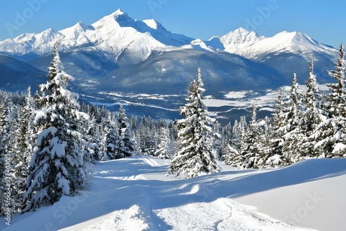 Snowy Mountain Peak with Forest in Winter