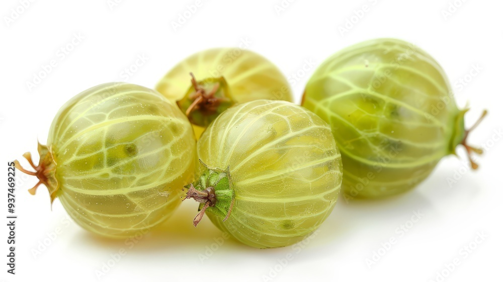 Close-Up of Four Fresh Gooseberries on White Background Close-Up of Four Fresh Gooseberries on White Background