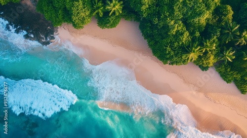 Aerial view of a tropical beach white sand, green trees.