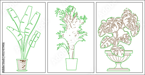 Vector sketch illustration of silhouette of unique ornamental plant interior design for room and garden decoration