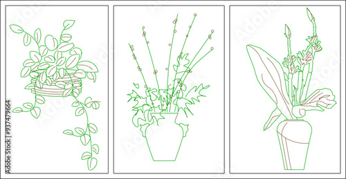 Vector sketch illustration of silhouette of unique ornamental plant interior design for room decoration and garden landscape