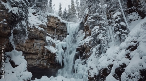 A frozen waterfall cascading down a snow-covered cliffside in a pine forest