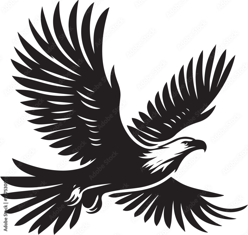 Obraz premium Flying Eagle