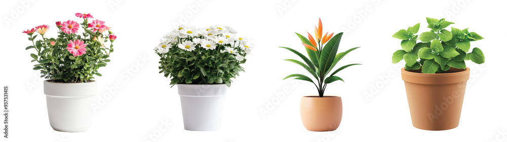 Vibrant flowering plants in decorative pots arranged neatly, on the Transparent background, PNG Format Vibrant flowering plants in decorative pots arranged neatly, on the Transparent background, PNG Format