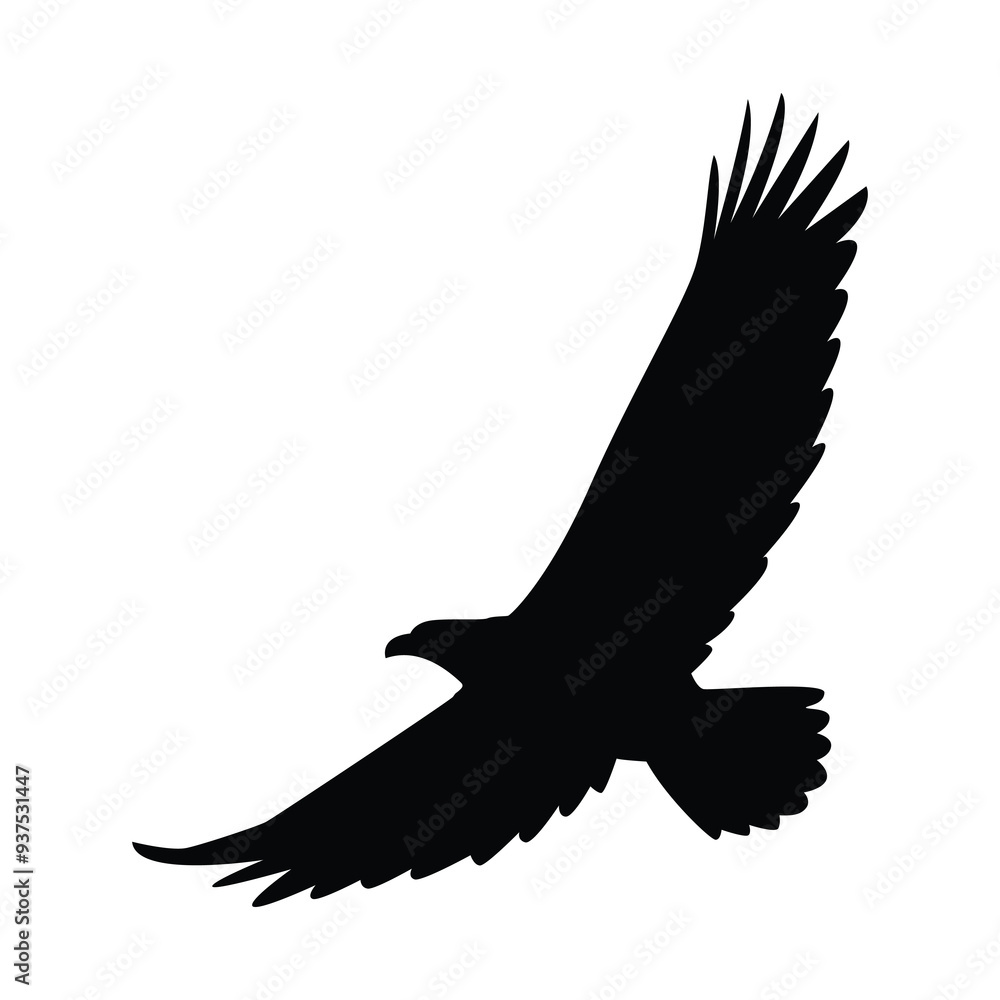 eagle silhouette, Vector graphic of eagle icon. Eagle logo. Black and White Silhouette eagle silhouette, Vector graphic of eagle icon. Eagle logo. Black and White Silhouette