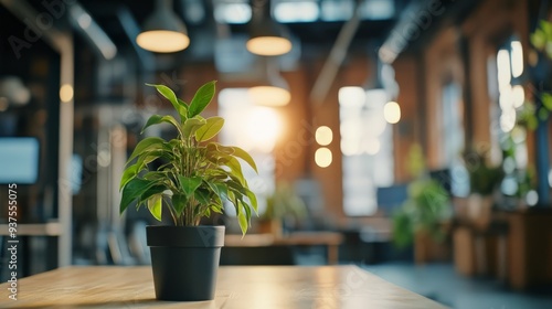 A vibrant potted plant sits on a wooden table in a modern, sunlit office space with large windows and stylish decor. photo