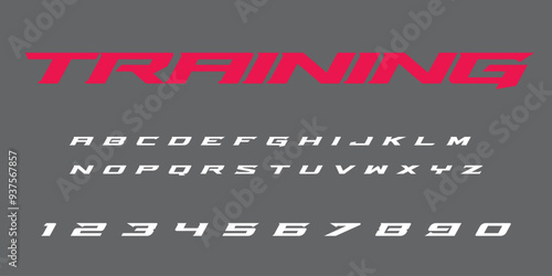 Training Gym lettering vector graphic apparel clothing prints eps svg png. Typography Fonts graphics designs posters stickers. Download it Now in high resolution format and print it in any size photo