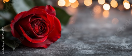  A red rose, focused closely, sits on a table against a backdrop of soft-lit lights The background features a gently blurred arrangement of lights