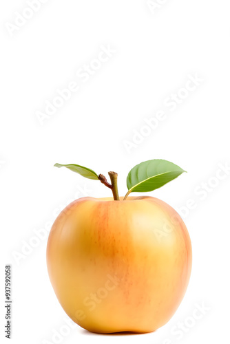 A shiny apple with a smooth surface and a brown stem, set against a white background.