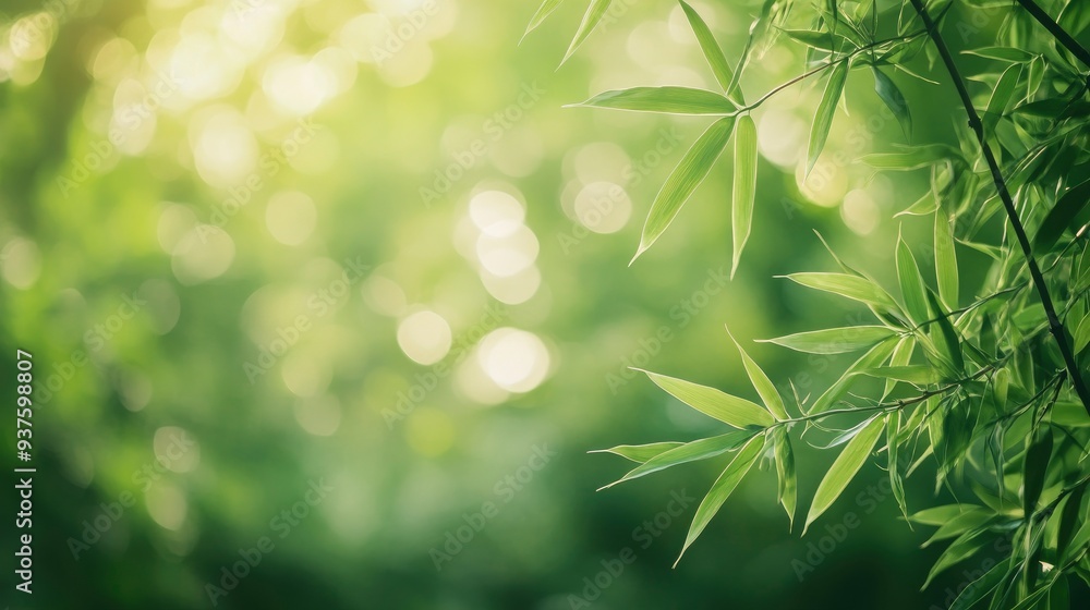 Bamboo forest and green meadow grass with natural light in blur style. Bamboos green leaves and bamboo tree with bokeh in nature forest. Nature pattern view of leaf on blurred greenery background, ai Bamboo forest and green meadow grass with natural light in blur style. Bamboos green leaves and bamboo tree with bokeh in nature forest. Nature pattern view of leaf on blurred greenery background, ai