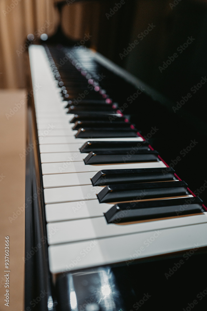 Grand piano keys close up. Music lesson Grand piano keys close up. Music lesson