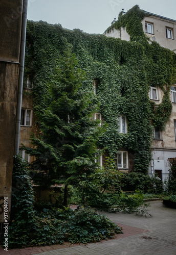 plant-covered building, greenery, green house