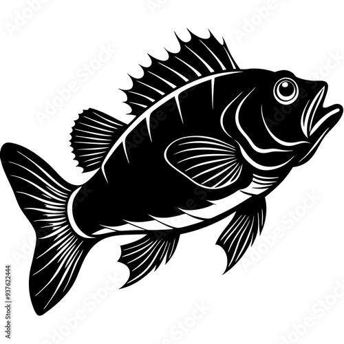 climbing perch fish silhouette Vector SVG