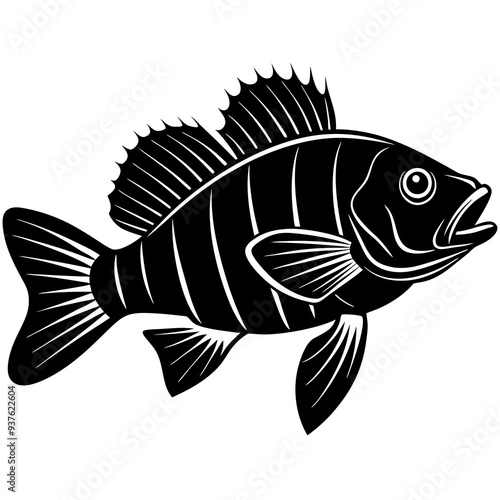 climbing perch fish silhouette Vector SVG