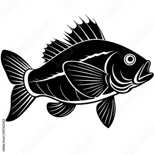 climbing perch fish silhouette Vector SVG