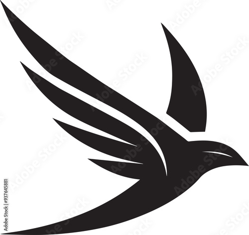 A jay bird. Hand drawn vector illustration