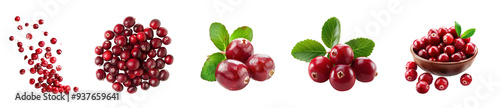 Cranberries different view isolate on transparency background