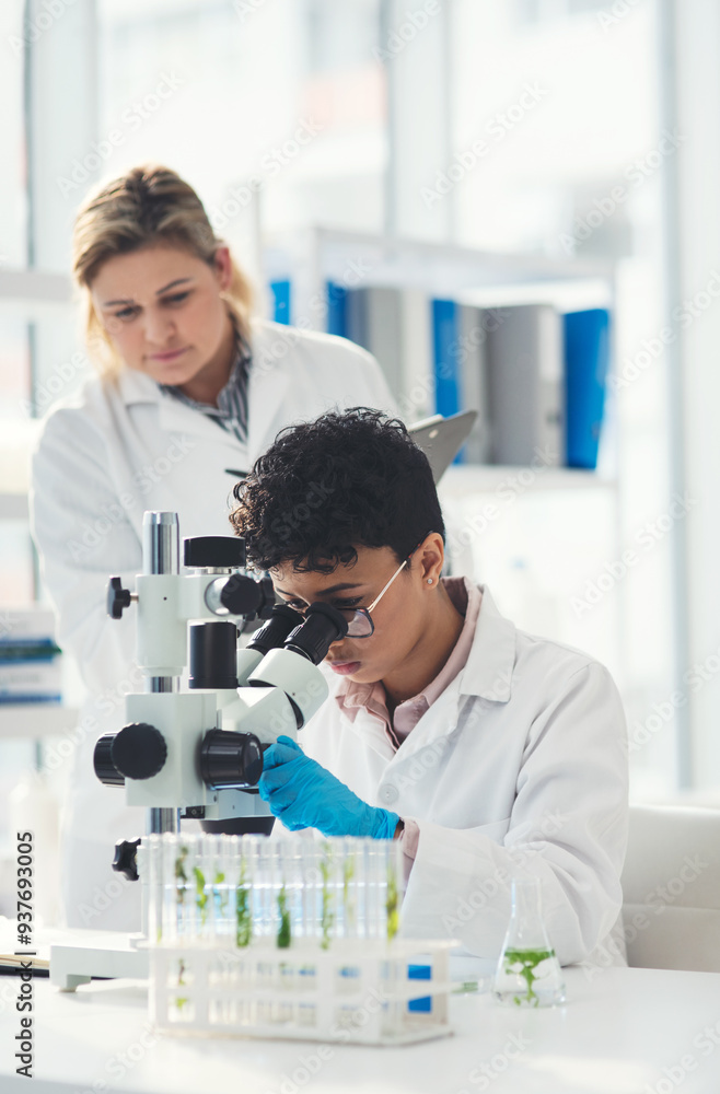Science, lab and woman with plants by microscope for biochemistry research, sample and study. Ecology, innovation and scientist with biotech by test tube for GMO investigation, agriculture and growth Science, lab and woman with plants by microscope for biochemistry research, sample and study. Ecology, innovation and scientist with biotech by test tube for GMO investigation, agriculture and growth