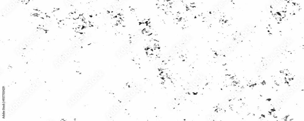 Abstract background of grunge white, black damaged rusty crack and scratch wall texture design. distressed grunge concrete wall texture. abstract vintage of old surface rough dirty texture background. Abstract background of grunge white, black damaged rusty crack and scratch wall texture design. distressed grunge concrete wall texture. abstract vintage of old surface rough dirty texture background.