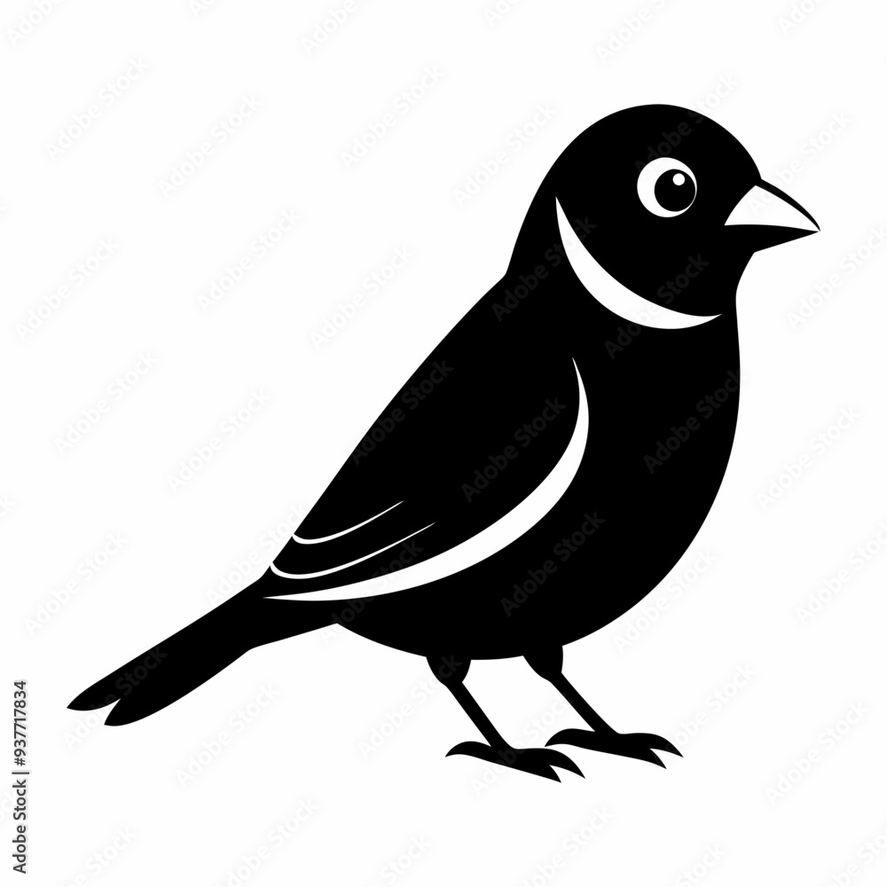 Obraz premium Bird isolated on white background