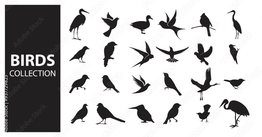 Birds silhoutte Birds silhoutte