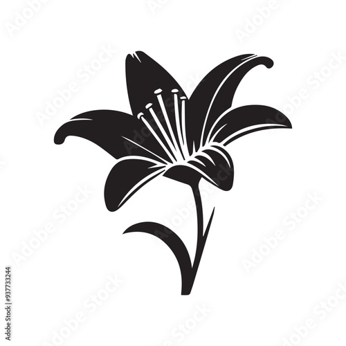 lily flower vector iabstract, art, beautiful, bloom, blossom, botanic, botanical, botany, calla lily, color, concept, design, drawing, elegance, element, fashion, femllustration on a white background.