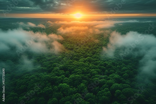 AI Generative Beautiful green amazon forest landscape at sunset sunrise Adventure explore air dron view vibe Graphic Art