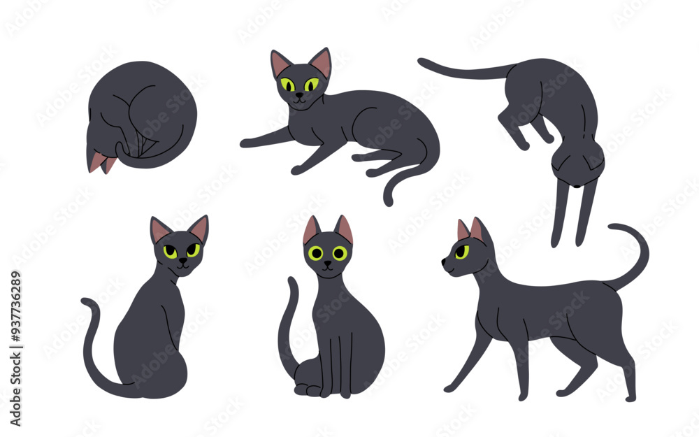 Flat cartoon set of Black cats in various poses isolated on white background. Vector collection of Cats sitting, standing, resting, playing. Flat cartoon set of Black cats in various poses isolated on white background. Vector collection of Cats sitting, standing, resting, playing.