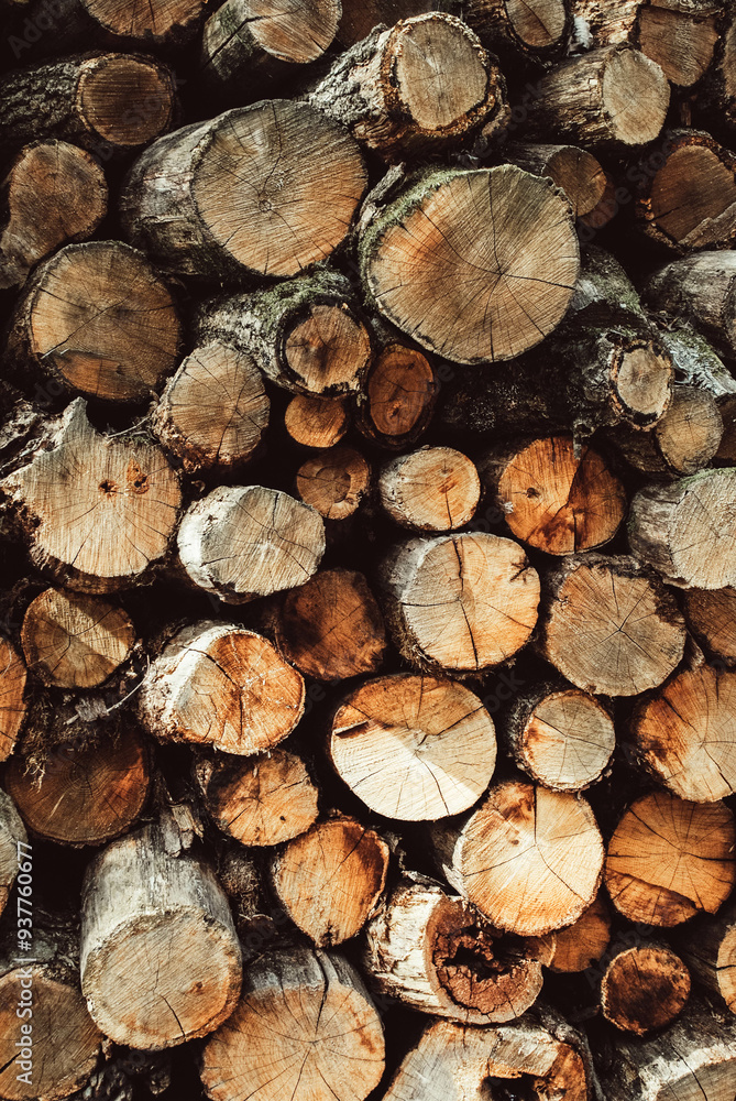 logs. cut down forest