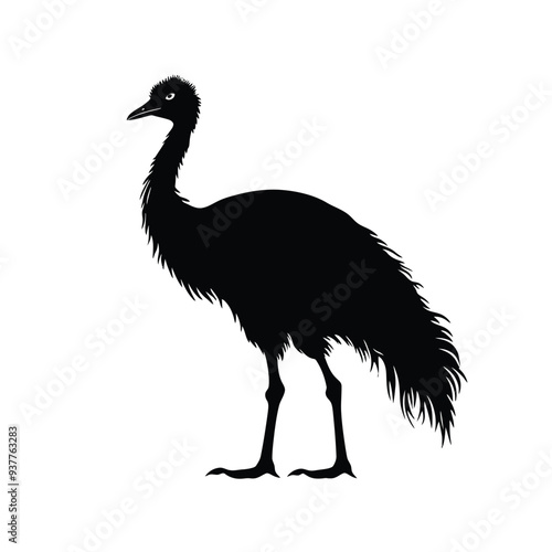 black silhouette of a emu isolated on white background