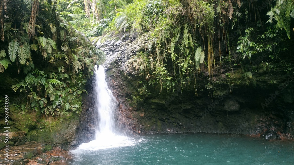 A secluded waterfall flows into a clear pool, surrounded by vibrant green ferns and moss-covered rocks, creating a peaceful tropical haven in the heart of nature. A secluded waterfall flows into a clear pool, surrounded by vibrant green ferns and moss-covered rocks, creating a peaceful tropical haven in the heart of nature.