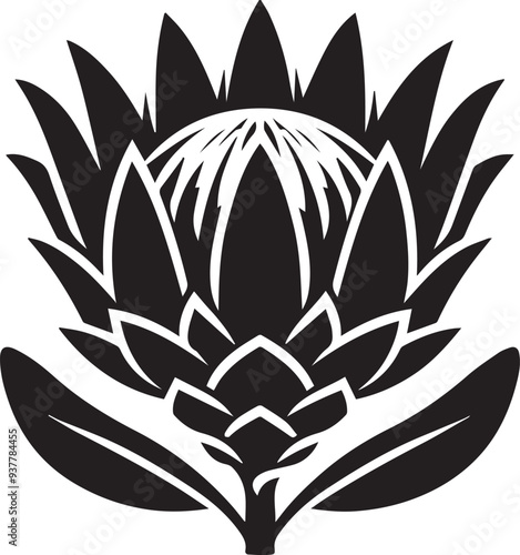 sketch of king protea flower black silhouette vector, Black and white flower