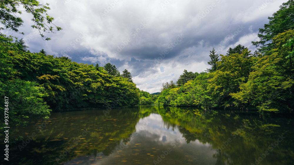 The view of Kumoba Pond (Swan Lake)), Karuizawa The view of Kumoba Pond (Swan Lake)), Karuizawa