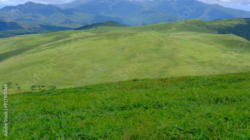 grass and mountains