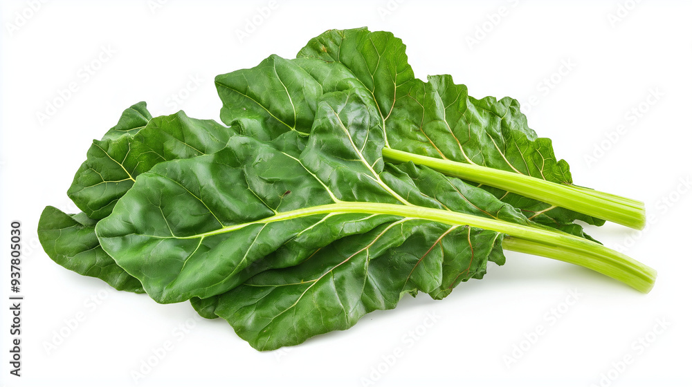 green chard leaves or mangold salad leaves isolated on white background green chard leaves or mangold salad leaves isolated on white background