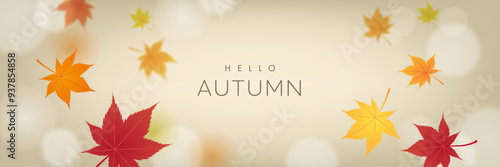 Hello Autumn Seasonal Background with colorful leaves. Vector illustration
