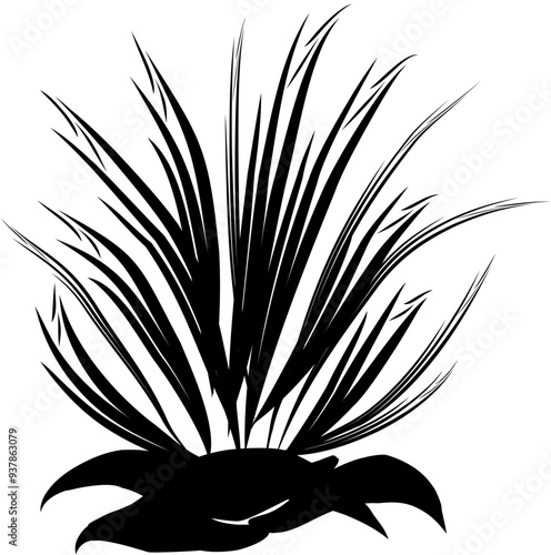 Sets of hand drawn scribble grass or plants vector bursh strokes and scribble new 6 photo